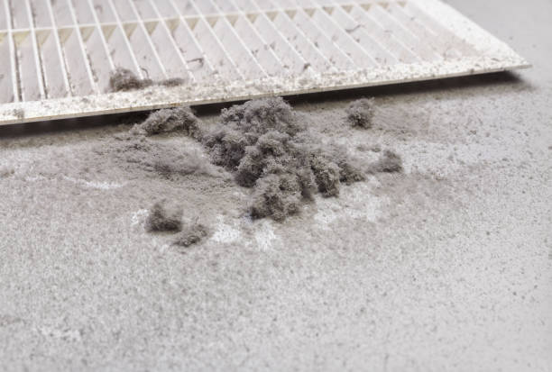 Best Commercial HVAC Duct Cleaning  in Avondale, AZ