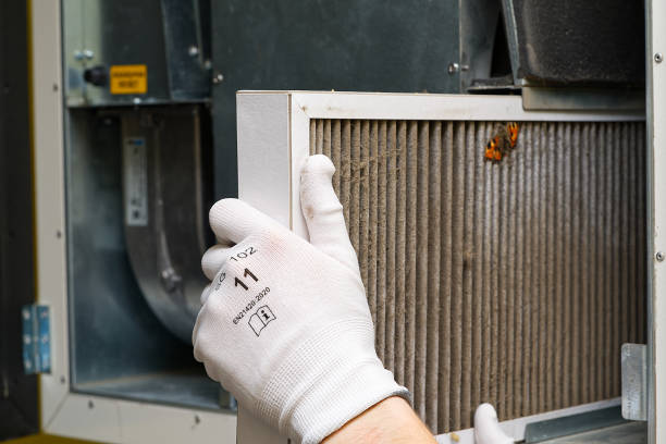 Best Residential Air Duct Cleaning  in Avondale, AZ