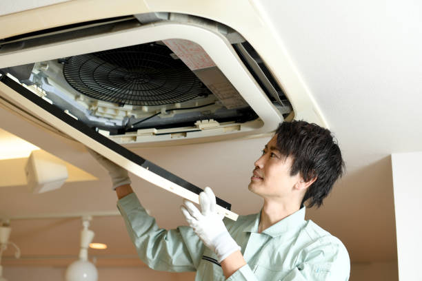 Best Affordable Air Duct Cleaning  in Avondale, AZ