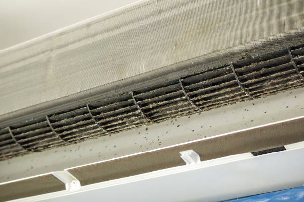 Best HVAC Duct Inspection Services  in Avondale, AZ
